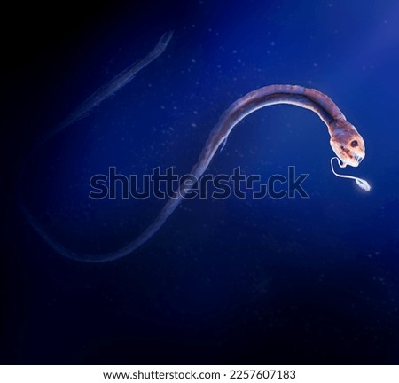 Similar – Image, Stock Photo Sea monster