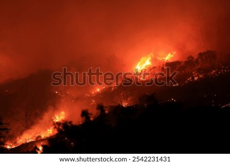 Similar – Foto Bild Gefahr eines Waldbrandes bei großer Trockenheit