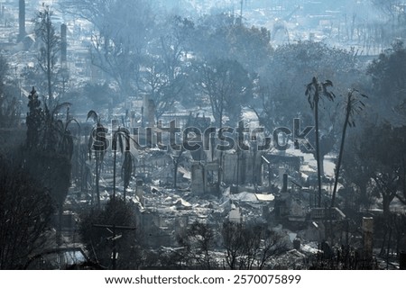 Similar – Foto Bild Gefahr eines Waldbrandes bei großer Trockenheit