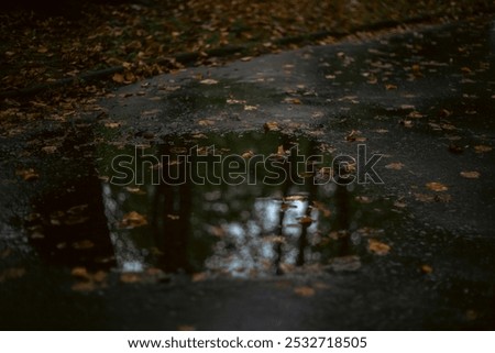 Similar – Image, Stock Photo mirror of nature Puddle