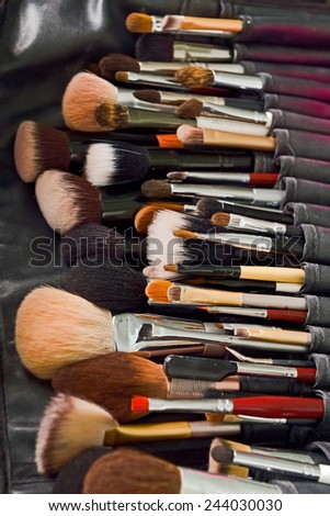 professional make-up brushes in leather case
