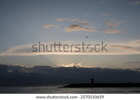 Similar – Image, Stock Photo The sun disappears behind the trees. Behind the house it is already dark. A strong cloud cover gives the whole a magnificent panorama.