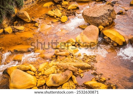 Similar – Foto Bild Flusswasser sickert durch die Blätter einer Pflanze