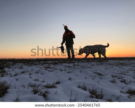 Similar – Foto Bild Fasan Natur