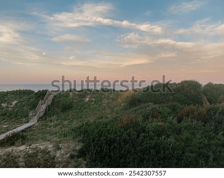 Similar – Foto Bild Zur Ruhe kommen. Düne Gras