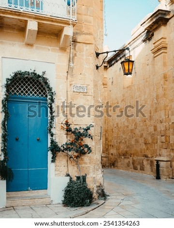 Similar – Image, Stock Photo Colorful Streets of Mdina, Malta