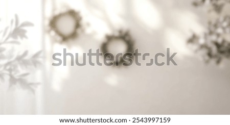 Similar – Image, Stock Photo shadow plays Leaf leaves