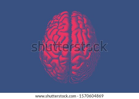 Bright red glyph engraved drawing human brain top view in woodcut hard line style vector illustration isolated on deep blue background