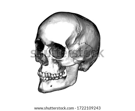 Minecraft Skeleton Face Clipart Skeleton Face Clipart Stunning Free Transparent Png Clipart Images Free Download Minecraft Skeleton Face Clipart Skeleton Face Clipart Stunning Free Transparent Png Clipart Images Free Download