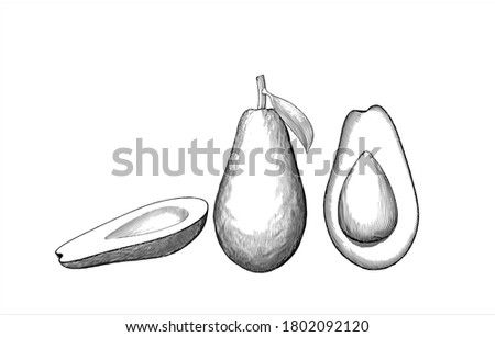 Monochrome vintage engraved drawing of avocado fruit full half and seed with leaf vector illustration isolated on white background