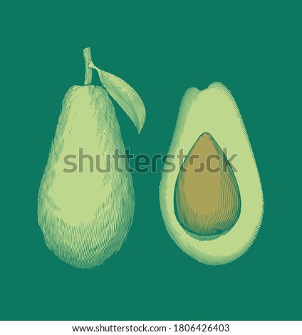 Color vintage engraved stencil drawing of avocado fruit full half and seed with leaf vector illustration isolated on green background