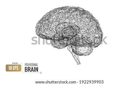 Abstract triangular polygonal 3D wireframe and connection vertex dot to dots of human brain side view vector illustration isolated on white background