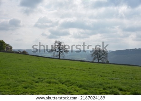 Scraggly trees silhouetted against very cloudy skies in rural England. Stock foto © 