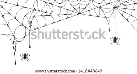 Halloween spiderweb border with hanging spiders. Vector isolated spooky background for october night party and invitations.