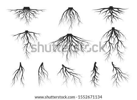 Tree And Roots Drawing | Free download on ClipArtMag