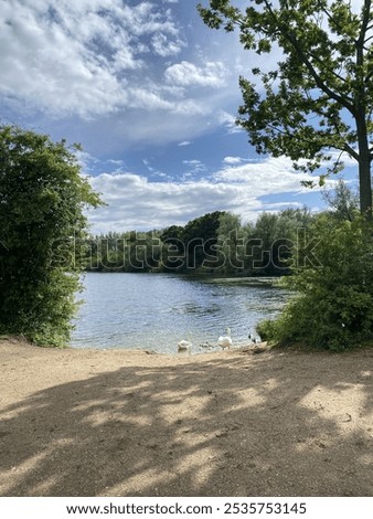 Similar – Foto Bild Schwanensee Ausflug