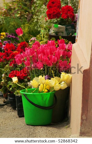 colored flowers in  green bucket on the street