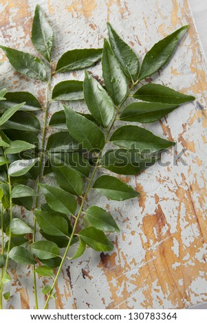 Fresh curry leaves as used in Indian cooking, on a rustic distressed wood background.