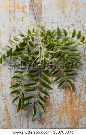 Fresh curry leaves and berries, as used in Indian cooking, on a rustic distressed wood background.