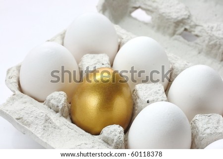 Chicken golden egg