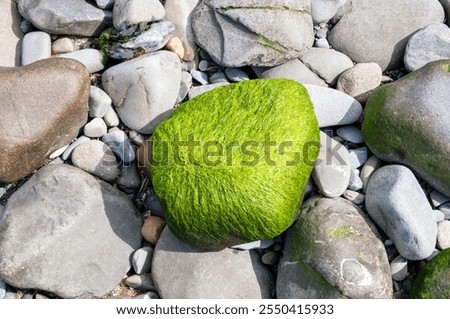 Similar – Foto Bild Größe Felsen im Wasser, Ostsee mit Wolken am Horizont