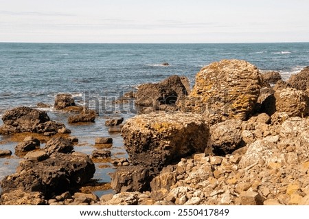 Similar – Image, Stock Photo Further wet beach in the shimmer of the sunset. Waves, clouds and people in the distance.