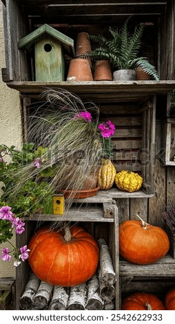 Similar – Image, Stock Photo Birdhouses on a facade