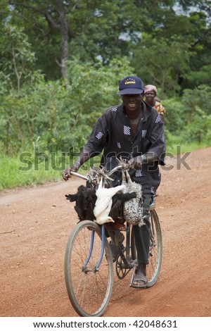 BURKINA FASO - AUGUST 11: African man cycling, bird animal transport cycling is common in rural areas, August 11, 2009 in Tiebele, Burkina Faso