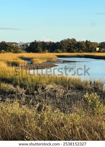 Similar – Image, Stock Photo north beach marsh