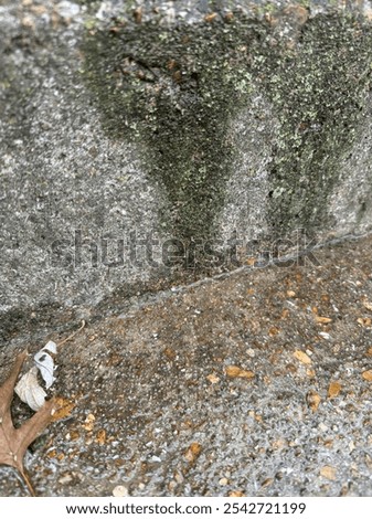 Image, Stock Photo Concrete, rain, dreariness. If anyone wants to get out