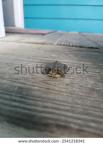 Similar – Foto Bild Es war so heiss im Raum, dass die Fensterscheibe beschlug, und er war froh, sich eine Glatze geschoren zu haben.