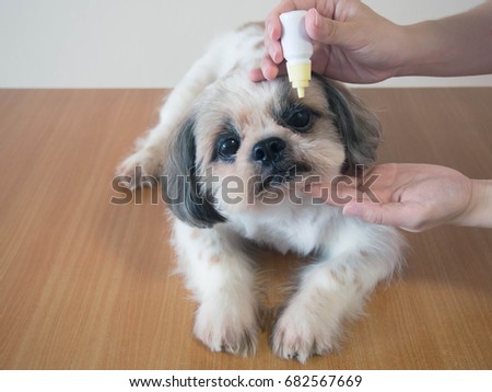 Shutterstock Puzzlepix