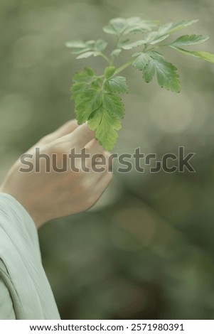 Similar – Image, Stock Photo Graceful hand is holding a paintbrush. Varnishing the floor, apartment renovation. Housework, handyman, active lifestyle. Close-up.