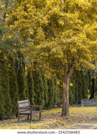 Similar – Image, Stock Photo Somewhere Nature Meadow