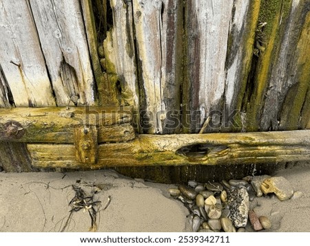 Similar – Image, Stock Photo weeds Wall (barrier)