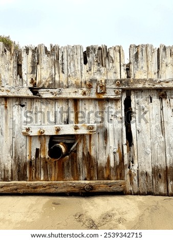 Similar – Image, Stock Photo weeds Wall (barrier)