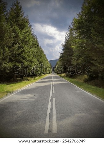 Similar – Image, Stock Photo Road running through dense forest