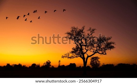 Similar – Image, Stock Photo Flock of birds against dark sky