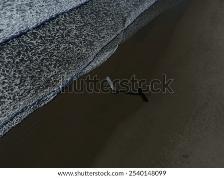 Similar – Image, Stock Photo Surfer entering into the water with his surfboard.