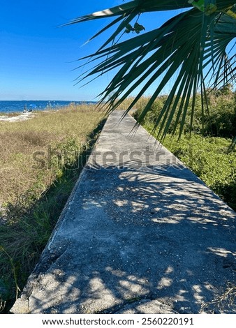 Similar – Image, Stock Photo bathe in peace Shadow