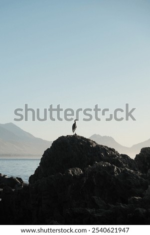 Similar – Image, Stock Photo Remote rocky seaside at bright sunset