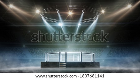 MMA cage night. Fighting Championship. Fight night. 3D render MMA arena. View of the arena by spotlights. Full tribune. Sport