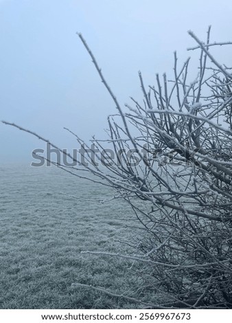 Similar – Image, Stock Photo Frosty and foggy morning on the Polish Ochodzita mountain with a view of the Czech Beskydy mountains. Lysa mountain illuminated with orange light. Winter and frosty environment