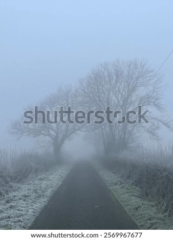 Similar – Image, Stock Photo Frosty and foggy morning on the Polish Ochodzita mountain with a view of the Czech Beskydy mountains. Lysa mountain illuminated with orange light. Winter and frosty environment