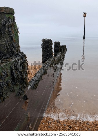 Image, Stock Photo groynes Village