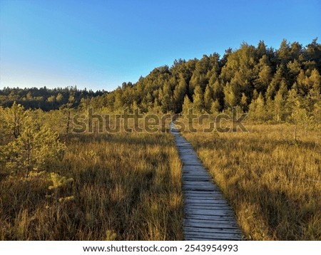 Similar – Image, Stock Photo Wooden path leading through the swamp and forest in a natural park