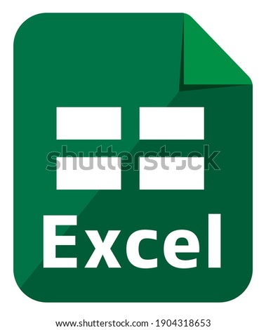 Excel icon | Major file format vector icon illustration  ( color version )