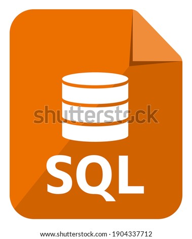 SQL icon | Major Database format vector icon illustration  ( color version )