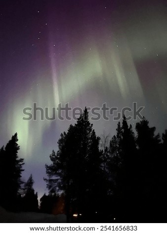 Similar – Foto Bild Polarlichter über Bäumen in der Winterlandschaft