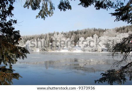 A frozen river naturally framed by evergreen branches